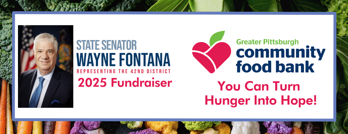 Senator Fontana 2025 Fundraiser